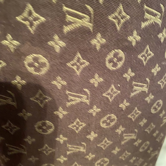LOUIS VUITTON DENIM SPEEDY - Picture 15 of 16